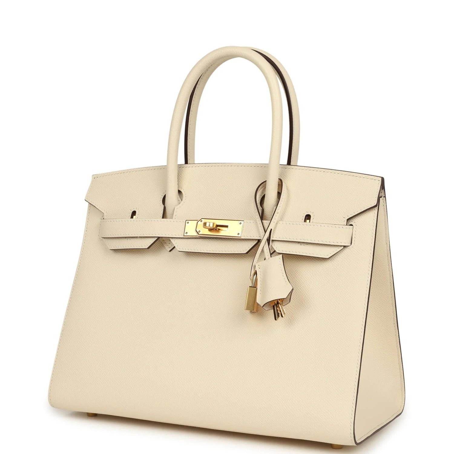 H.Birkin Sellier 25 Nata Epsom
